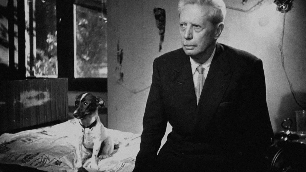 Umberto D 1952